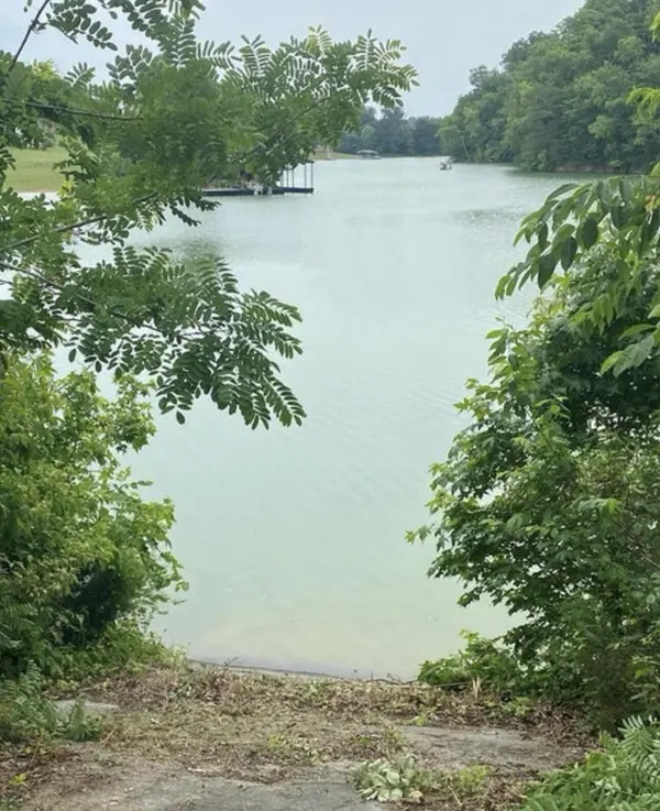 12 Ferry Hill Road, Dandridge, TN 37725