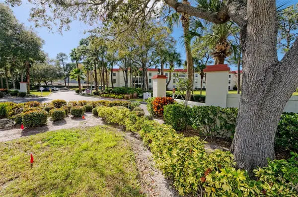 2700 BAYSHORE BLVD #2204, Dunedin, FL 34698