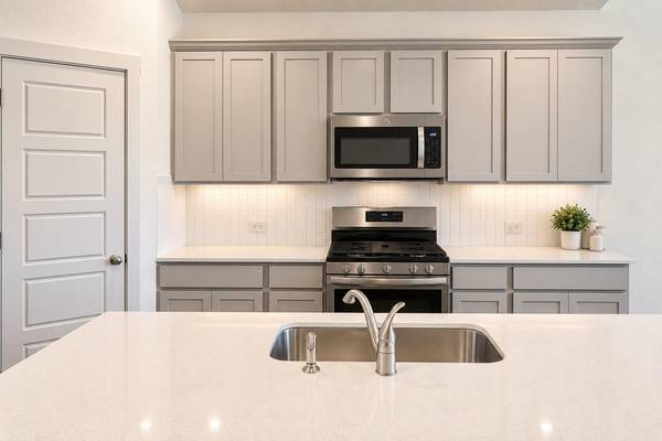 17304 Truffle Falls WAY, Manor, TX 78653