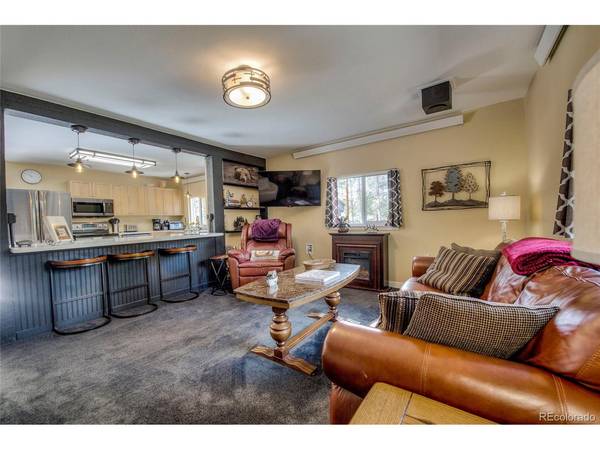 1835 Four Seasons, Leadville, CO 80461