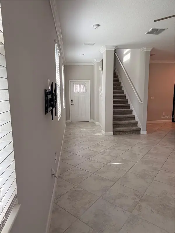 1384 WHITE FOX RUN, Lutz, FL 33549