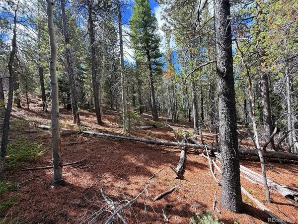 3187 Purnell, Fort Garland, CO 81133