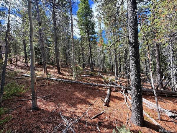 3187 Purnell, Fort Garland, CO 81133