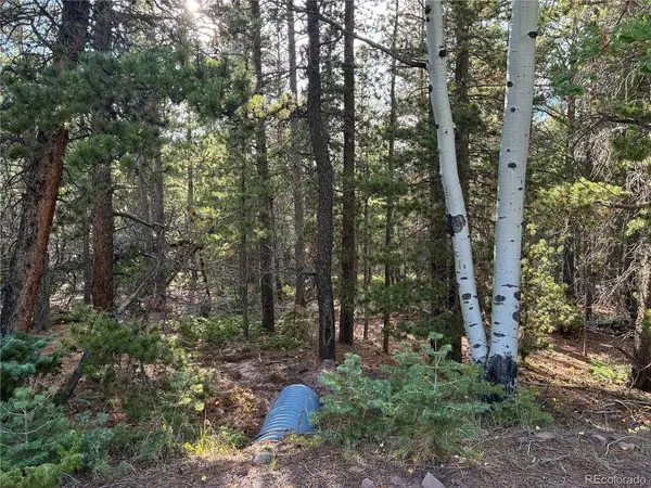 3187 Purnell, Fort Garland, CO 81133