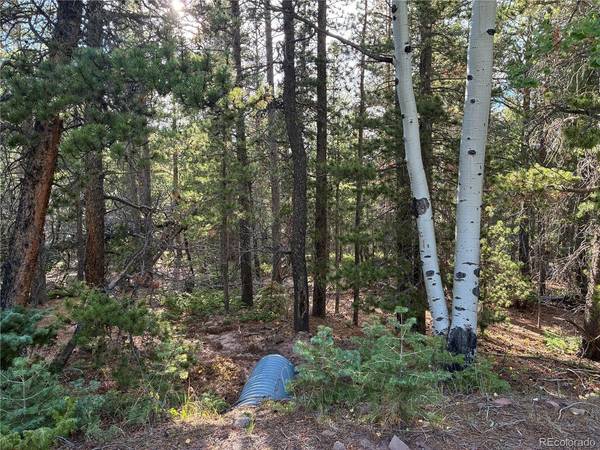 3187 Purnell, Fort Garland, CO 81133