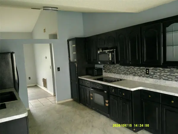 11240 FOUNTAIN LAKE BLVD, Leesburg, FL 34788