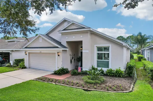 3224 STONEBRIDGE TRL, Valrico, FL 33596