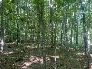 TBD Whitewater Road, Emily, MN 56447