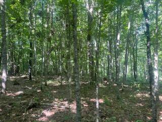 TBD Whitewater Road, Emily, MN 56447