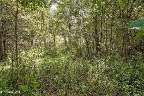 0 Highway 131 West, Treadway, TN 37881