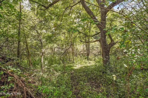 0 Highway 131 West, Treadway, TN 37881