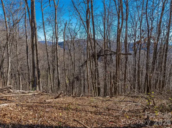 TBD Walnut Creek RD, Marshall, NC 28753