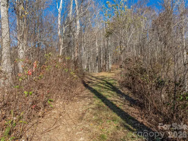 TBD Walnut Creek RD, Marshall, NC 28753