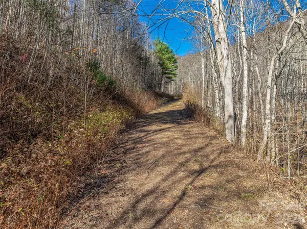 TBD Walnut Creek RD, Marshall, NC 28753