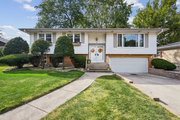 541 E 166th PL, South Holland, IL 60473