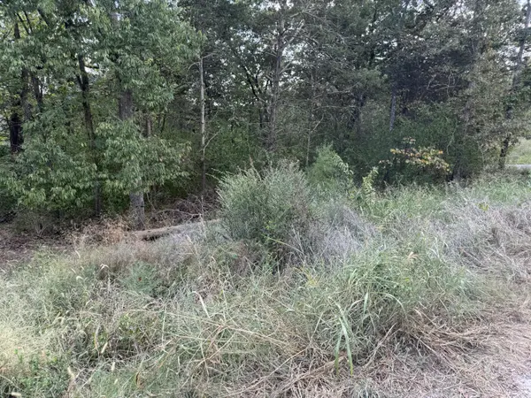 20 Dollar Lane, Lampe, MO 65681