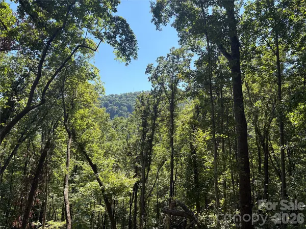 276 Cedar Creek RD, Black Mountain, NC 28711