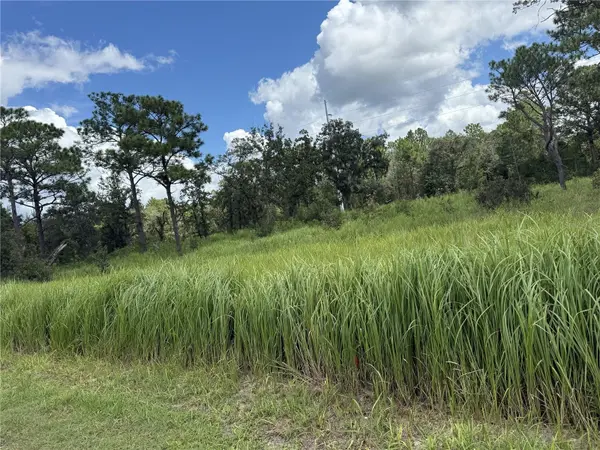12220 MARVELWOOD RD, Weeki Wachee, FL 34614