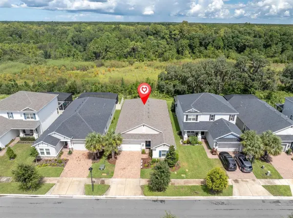 13659 STANSIL AVE, Odessa, FL 33556