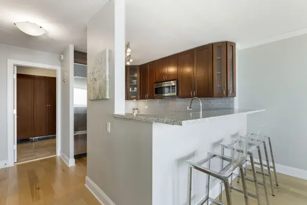 1030 N State ST #52A, Chicago, IL 60610
