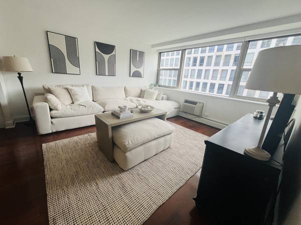 253 E DELAWARE PL #18C, Chicago, IL 60611