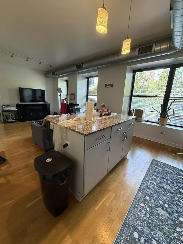 4537 S Drexel BLVD #203, Chicago, IL 60653