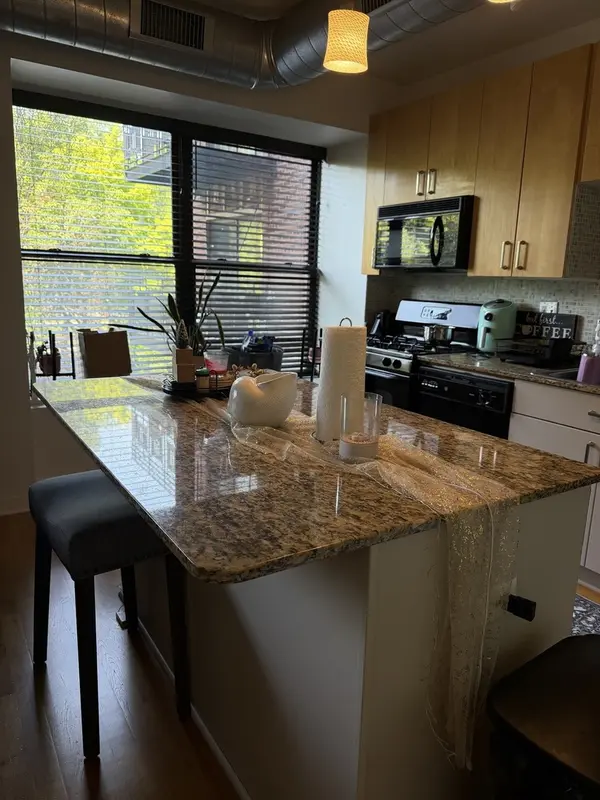 4537 S Drexel BLVD #203, Chicago, IL 60653