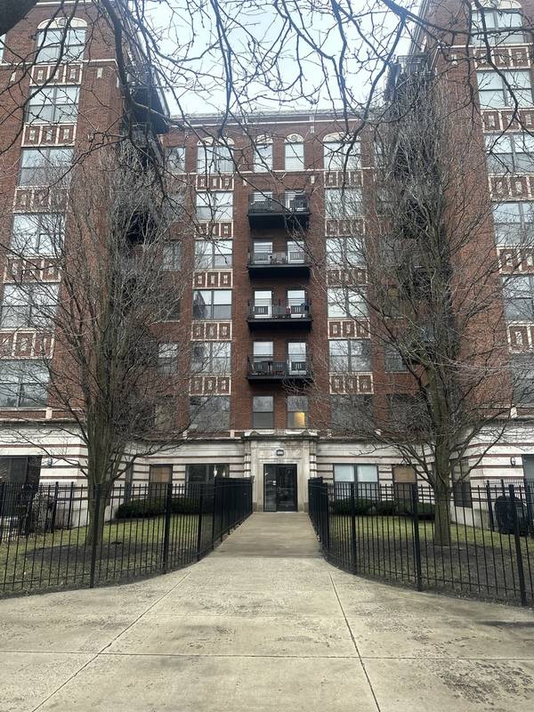 4537 S Drexel BLVD #203, Chicago, IL 60653