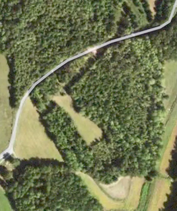 255 McBride Cemetery Rd, Sardis, TN 38371