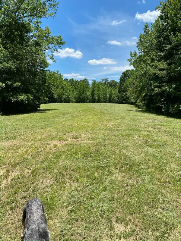 255 McBride Cemetery Rd, Sardis, TN 38371