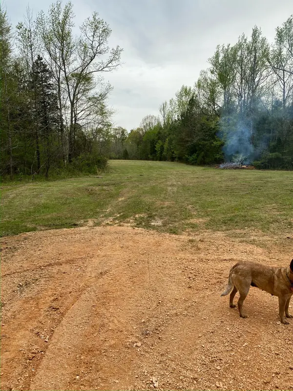 255 McBride Cemetery Rd, Sardis, TN 38371