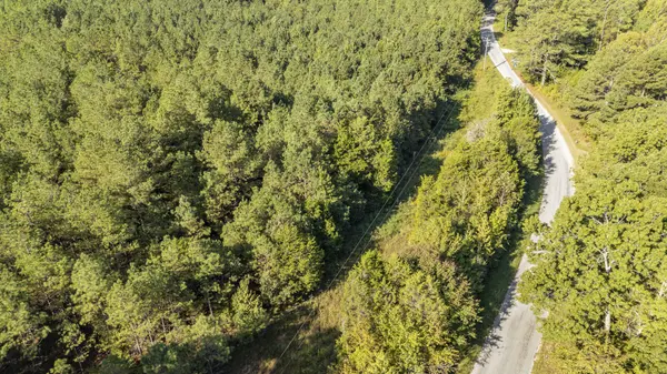0 Baudy James Rd, Cedar Grove, TN 38321