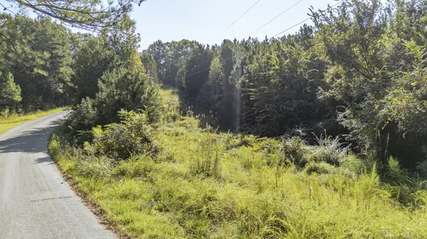 0 Baudy James Rd, Cedar Grove, TN 38321