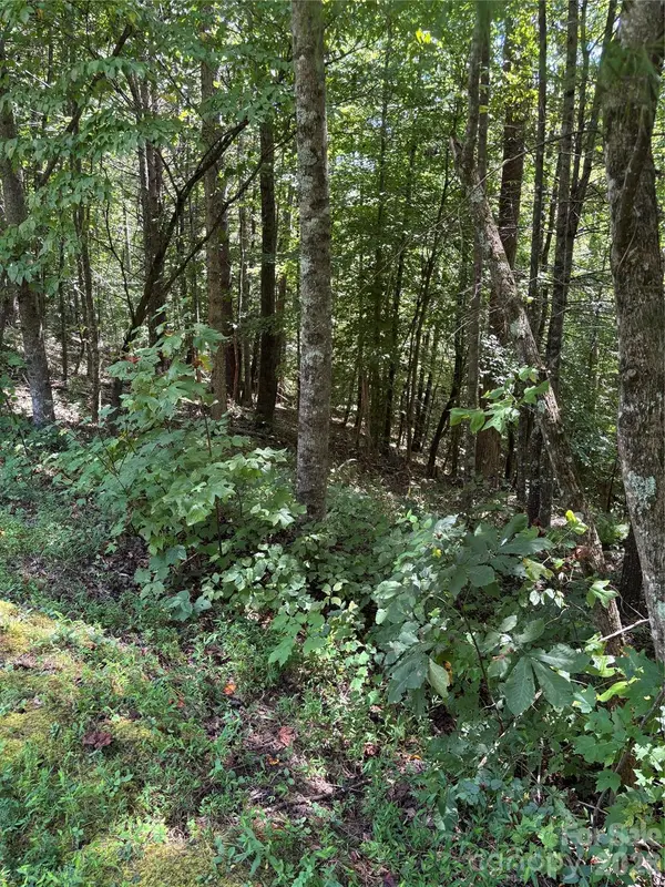 Lot 14 Walnut Ridge DR #14, Lenoir, NC 28645