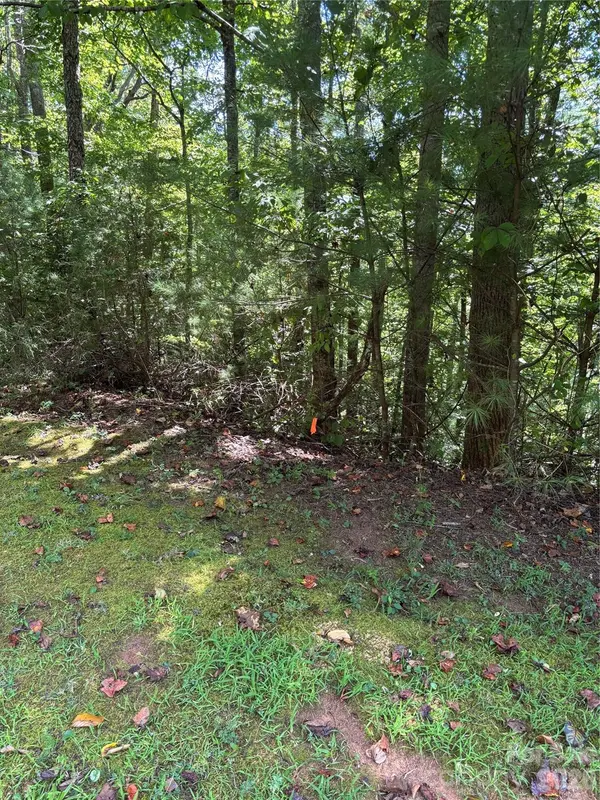 Lot 14 Walnut Ridge DR #14, Lenoir, NC 28645
