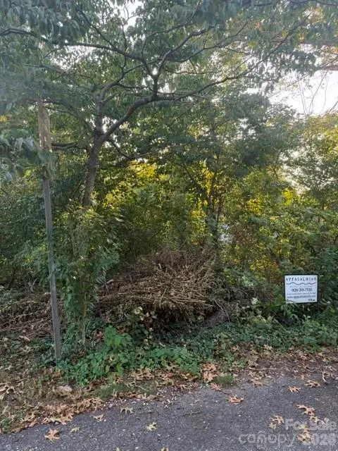 99999 Reese ST, Woodfin, NC 28804