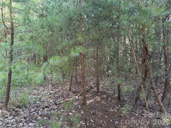 TBD Wolf Pen RD #24, Purlear, NC 28665