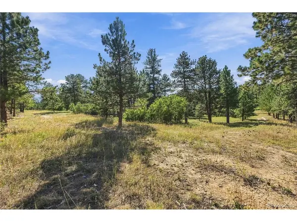 Kinnikinnik, Larkspur, CO 80118
