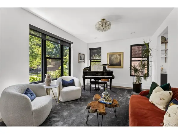 1035 S Columbine, Denver, CO 80209