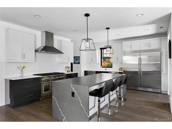1035 S Columbine, Denver, CO 80209