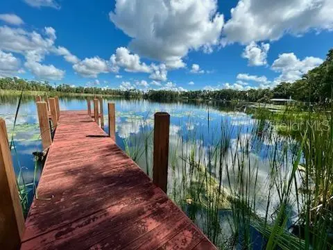 17101 ARROWHEAD BLVD, Winter Garden, FL 34787