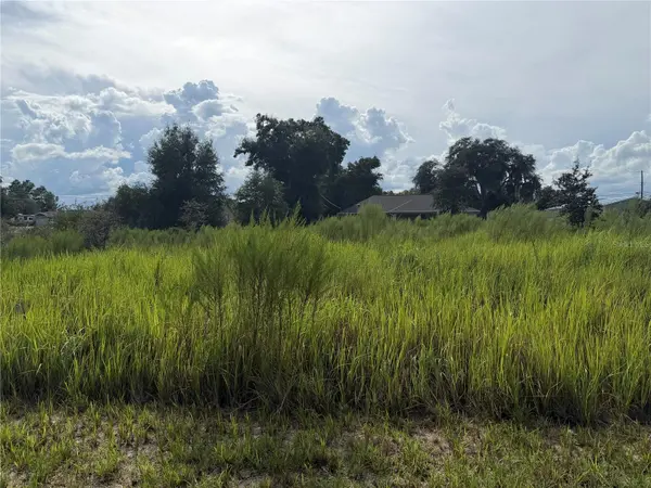 TBD LOCUST PASS LOOP, Ocala, FL 34472
