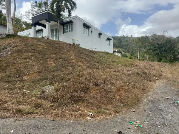 1 BO QUERUBE HATO NUEVO, Gurabo, PR 00778