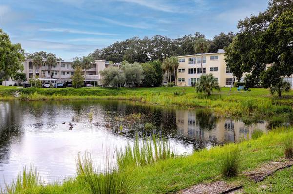 821 DELEON CT #309, Dunedin, FL, 34698 photo 35