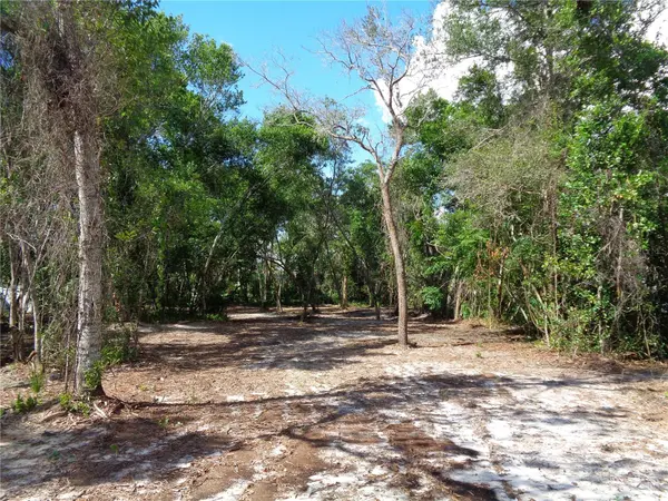 8007 CHAUCER DR, Weeki Wachee, FL 34607