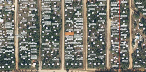 XX HOUSTON ST, Interlachen, FL 32148