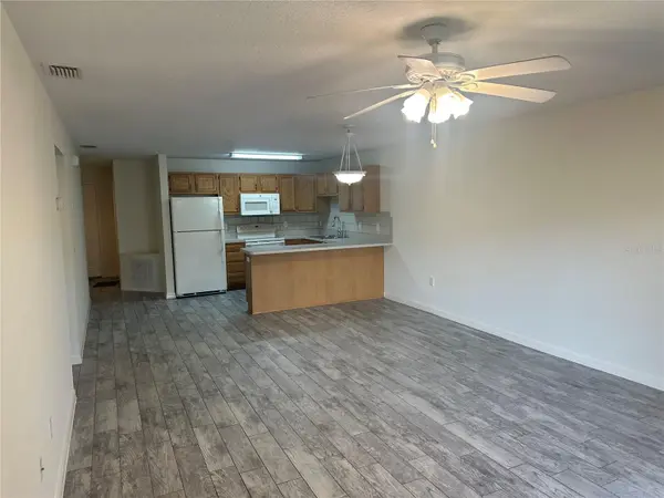 809 DENNIS AVE, Fruitland Park, FL 34731