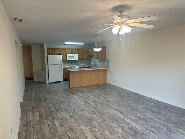 809 DENNIS AVE, Fruitland Park, FL 34731