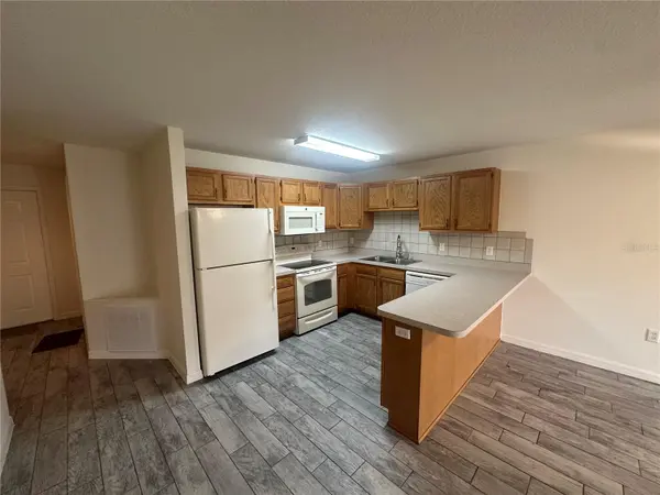 809 DENNIS AVE, Fruitland Park, FL 34731