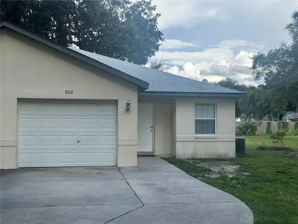809 DENNIS AVE, Fruitland Park, FL 34731